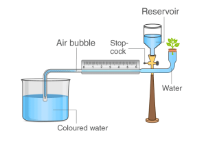 Selina Solutions for Class 10 Biology Chapter 5 Image 2