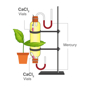 Selina Solutions Concise Biology Class 10 Chapter 5 Transpiration