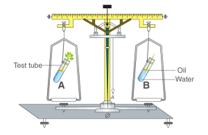 Selina Solutions Concise Biology Class 10 Chapter 5 Transpiration