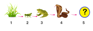 Given below is the representation of a certain phenomenon in nature. With four organisms 1 – 4.